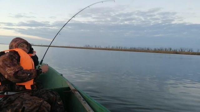 Сом на рыбалке в ноябре смотреть онлайн