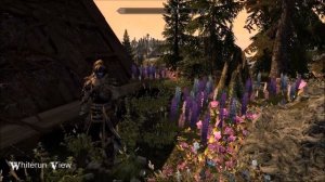 Whiterun View - Skyrim/Special Edition House Mod