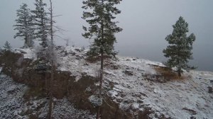 Рыбалка леща зимой, где искать и на что ловить