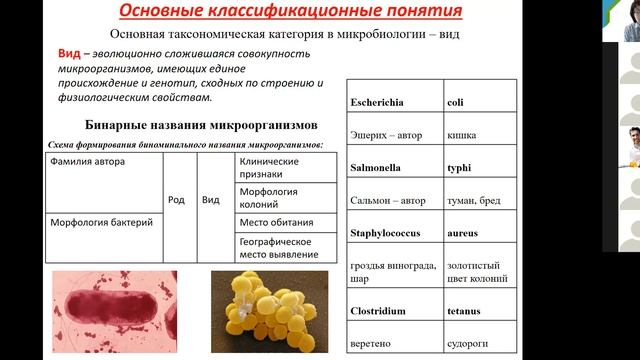 С.А.Лисовская. Предмет и задачи медицинской микробиологии. Систематика и морфология бактерий. М.био