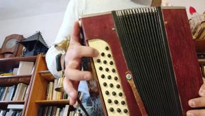 гармонь с колокольчиками