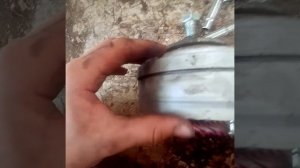 Муравей - причина стука двигателя.