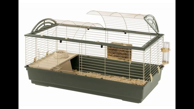 Какую клетку для морской свинки выбрать? смотреть онлайн