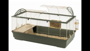 Какую клетку для морской свинки выбрать?