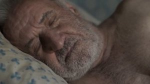 Факты, Которые Вам Лень Гуглить