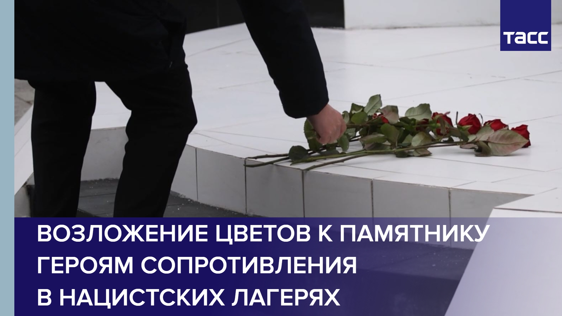 Возложение цветов к памятнику Героям сопротивления в нацистских лагерях #shorts
