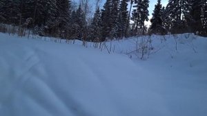 В зимний лес на лыжах 16.02.2019 (1)