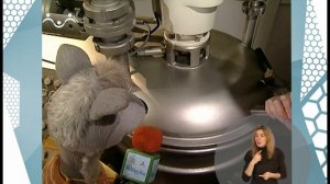 По секрету всему свету. Сыр (сурдоперевод)