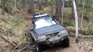 27 May 2018 Suzuki Escudo в лесу