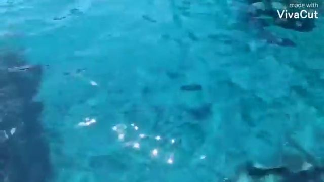 Медитация у моря смотреть онлайн