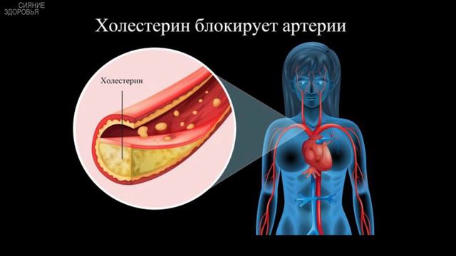 ЭЛИКСИР МОЛОДОСТИ смотреть онлайн