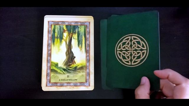 Celtic Tree Oracle || New Deck Unboxing and First Reaction смотреть онлайн