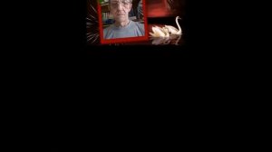 ДАВАЙ ПОЖЕНИМСЯ !