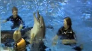 Дельфинарий.