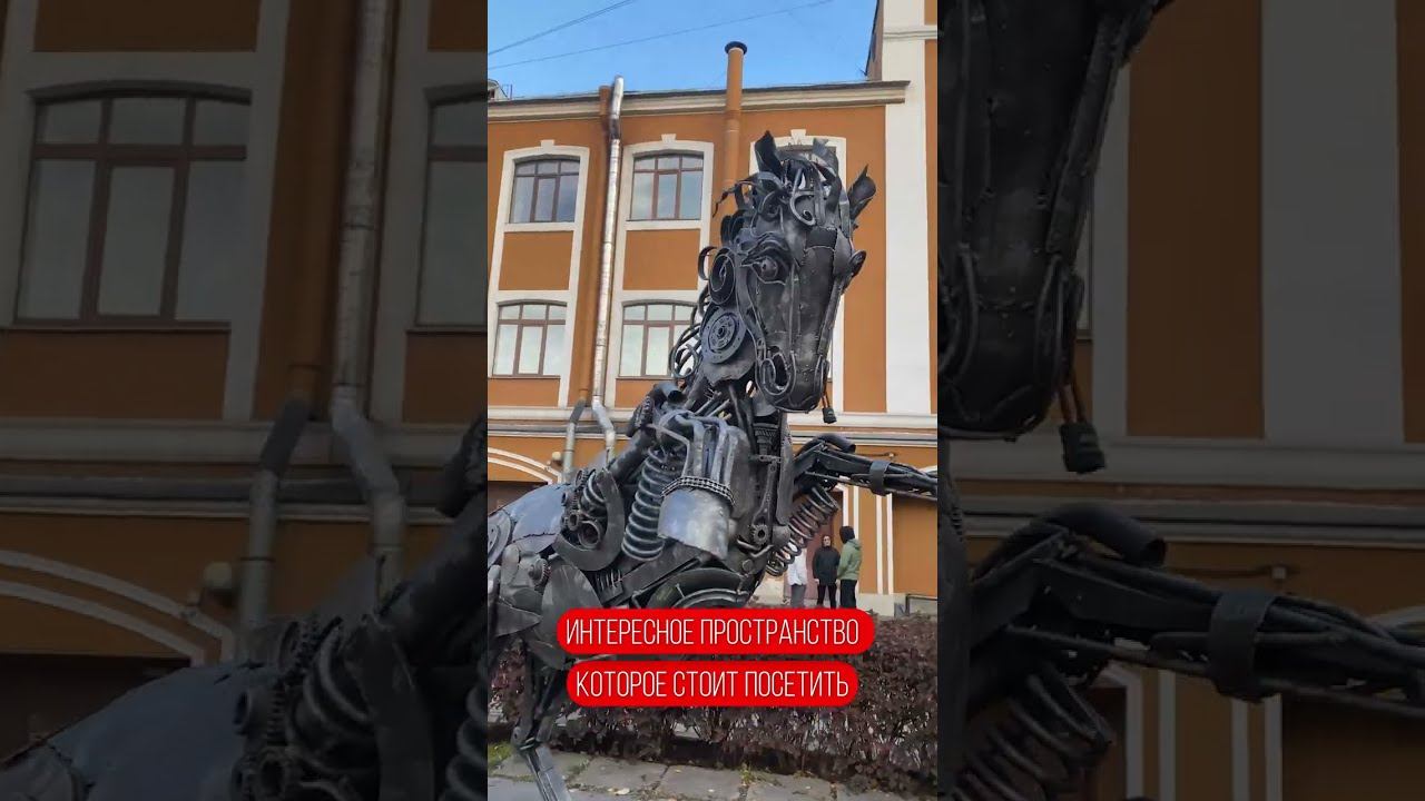 ИНТЕРЕСНОЕ МЕСТО на Петроградке ! Куда сходить СПБ #shorts