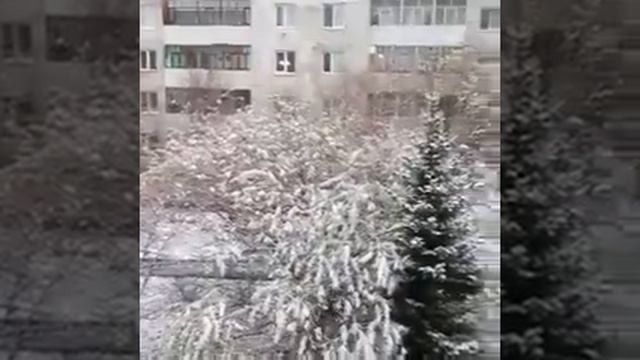 Зеленогорск в снегу.mp4 смотреть онлайн