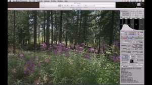 Убираем паразитные блики