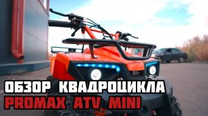 Обзор на квадроцикл PROMAX ATV MINI 2T 70CC в MAXMOTO