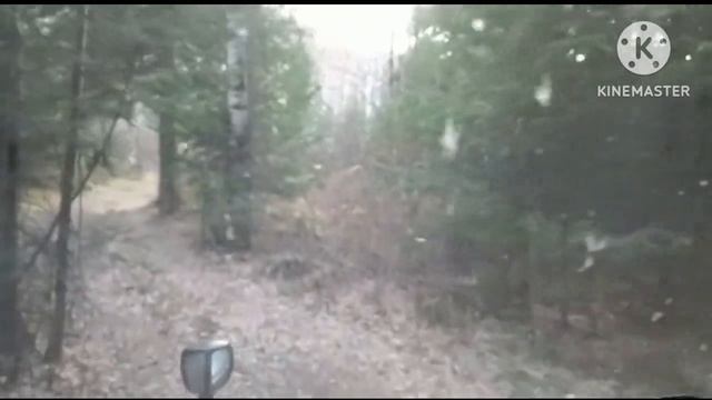 Поездка на Белую в октябре смотреть онлайн