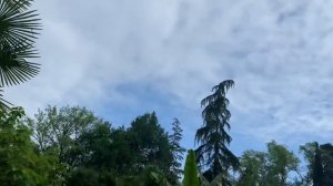 Абхазия 2021. Новый Афон. Отель Родина. Дорога к морю через парк с лебедями. Домашние Веселушки вло