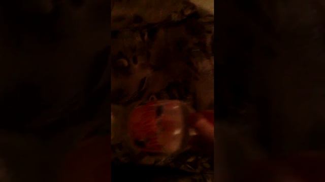 Бутылка с водой челендж? :) смотреть онлайн