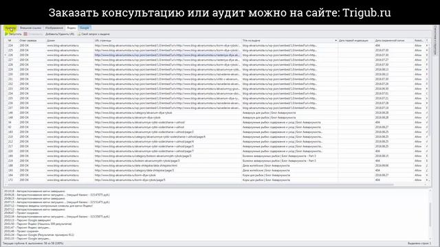 SEO-аудит сайта. Блог аквариумиста. Проверка сайта на SEO-ошибки с рекомендациями.
