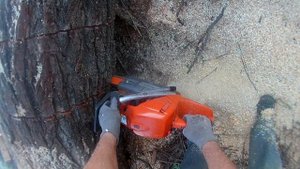 Husqvarna 576 xp
