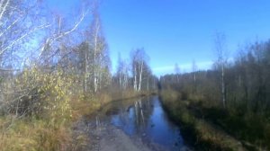 Вездеход 4×2 и болото