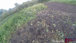 Горчица не поможет от проволочников   А это поможет...
