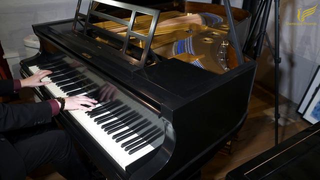 Blüthner Style 7 Grand Piano - Demonstrated by Sherwood Phoenix смотреть онлайн