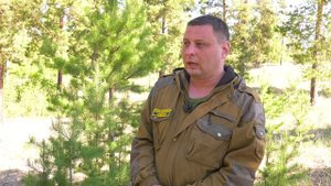 Ленточные боры Алтайского края: очередная природная загадка в проекте «История из рюкзака»