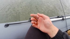 Первая рыбалка с лодки.Ловля судака с лодки.На веслах за клыкастым.