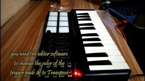 Worlde Panda Mini Midi Keyboard Unboxing/Review 🇳🇬