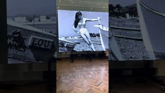 Киновечер с Бриджит Бардо и Павлом Власенко #Краснодар #светскаяхроника