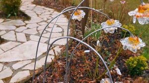 Хрустальный декор в саду