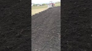 3 октября 2022 г. Японский плуг SUGANO