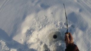 Зимняя рыбалка в Омске.ч.2. #fishing, #рыбалка, #омск