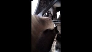 Как поменять и запрессовать переднюю ступицу форд фокус 2