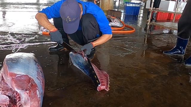Yellowfin tuna cutting Knife worker-黃鰭鮪魚美技刀工 смотреть онлайн