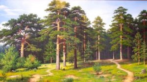 Что такое лес? Владимир Степанов. #стихидлязаучиваниядетей