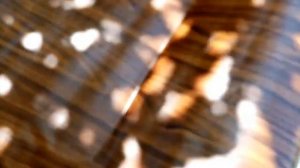 Как отреставрировать старые двери