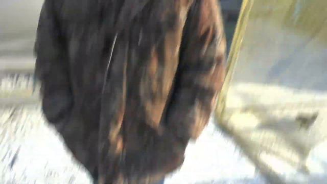 Птичий рынок. Шахты 06.03.22. Часть 2. Николаеские голуби. Bird market. Part 2. Nikolaevsky pigeons смотреть онлайн