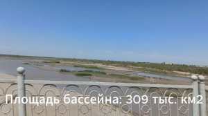 РЕКА АМУДАРЬЯ СЕГОДНЯ. 2023, сентябрь