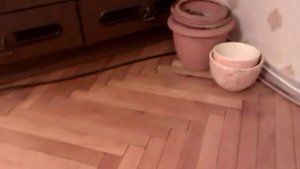 Мышъ и керамзит