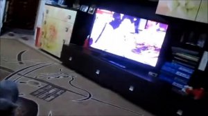 #вязка_кошки с британцем  Love cats .