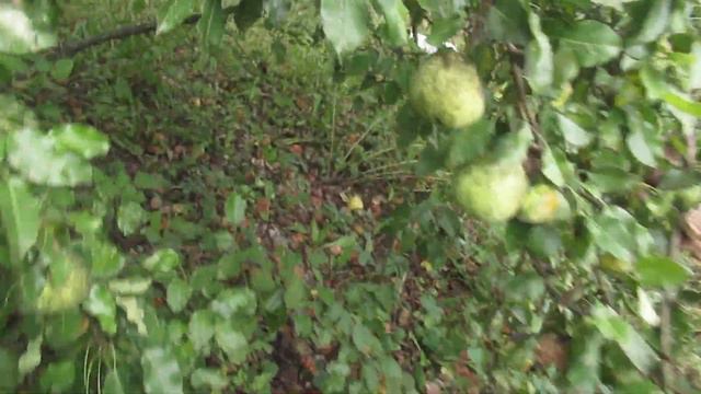 Виктор Безгодков. Сделать мир лучше... смотреть онлайн