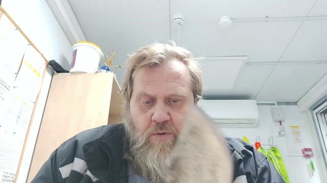 Нож для БП. Город/ лес. смотреть онлайн