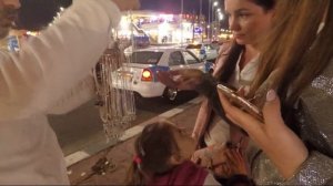 Египет. ШОПИНГ. Сумка Louis Vuitton за 35 $. По пути на ГЛАВНУЮ мечеть Шарм-эль-Шейха.