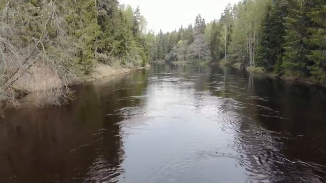 В Псковскую область, минипоход на Шевроле нива и уаз патриот. FPV смотреть онлайн
