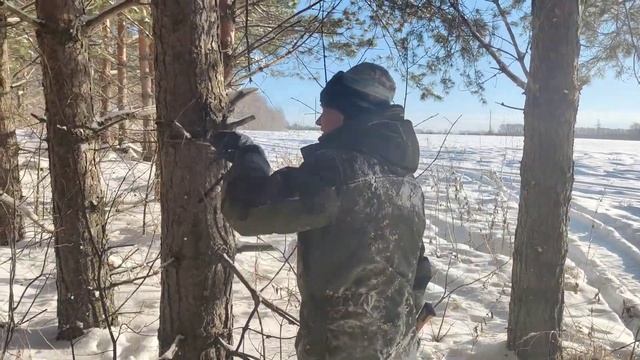 Охота на зайца 28.11.2022г. с русской гончей. смотреть онлайн